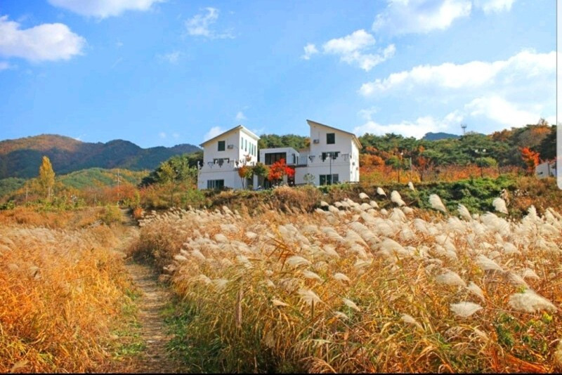 남한강이야기 이미지