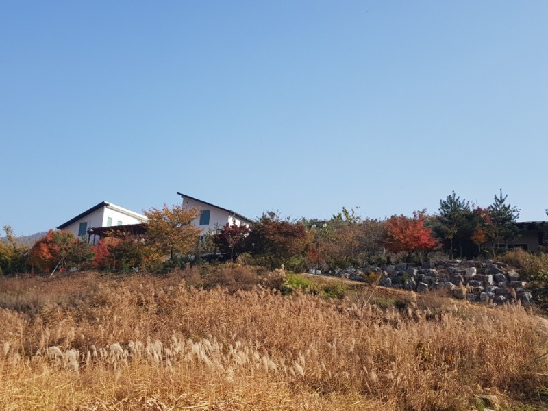 남한강이야기 이미지