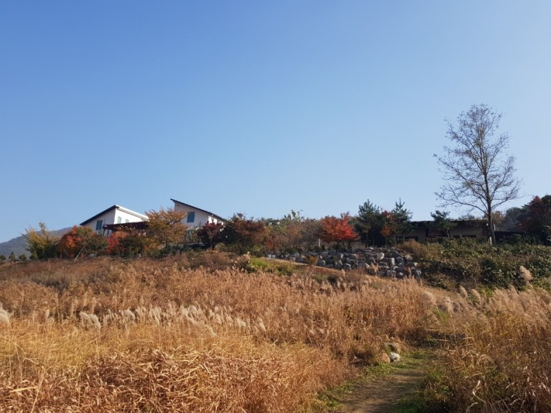 남한강이야기 이미지