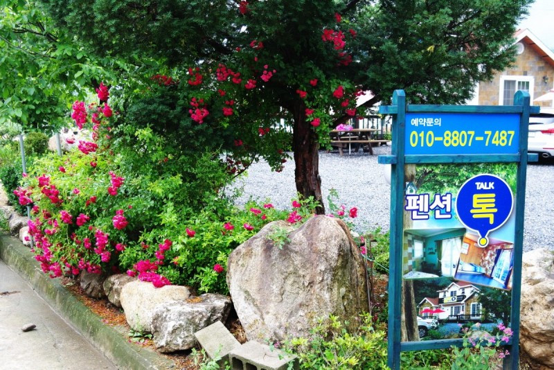 펜션톡 이미지