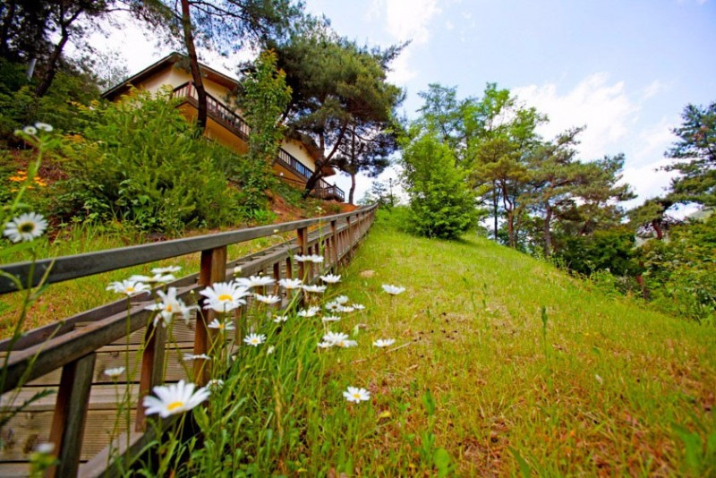 하늘정원펜션 이미지