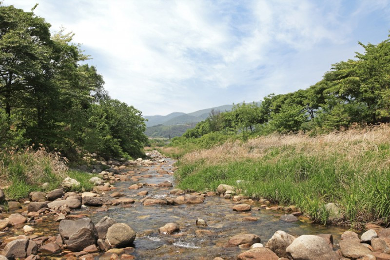 토담펜션 이미지