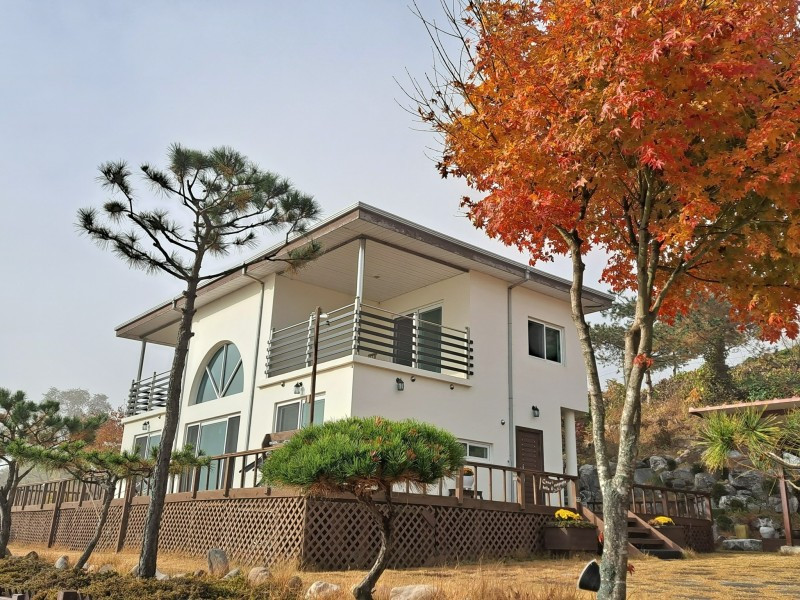 카사벨라 이미지