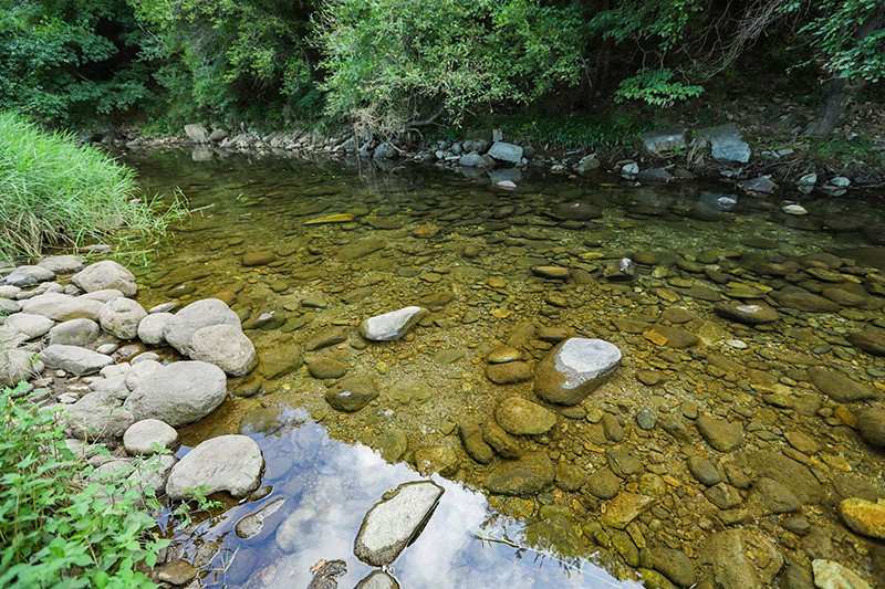 소백산신선펜션 이미지