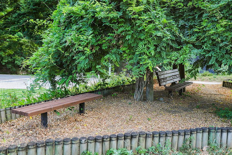 소백산신선펜션 이미지