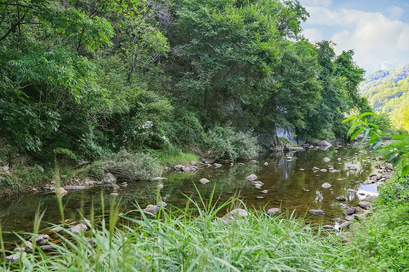 소백산신선펜션 이미지