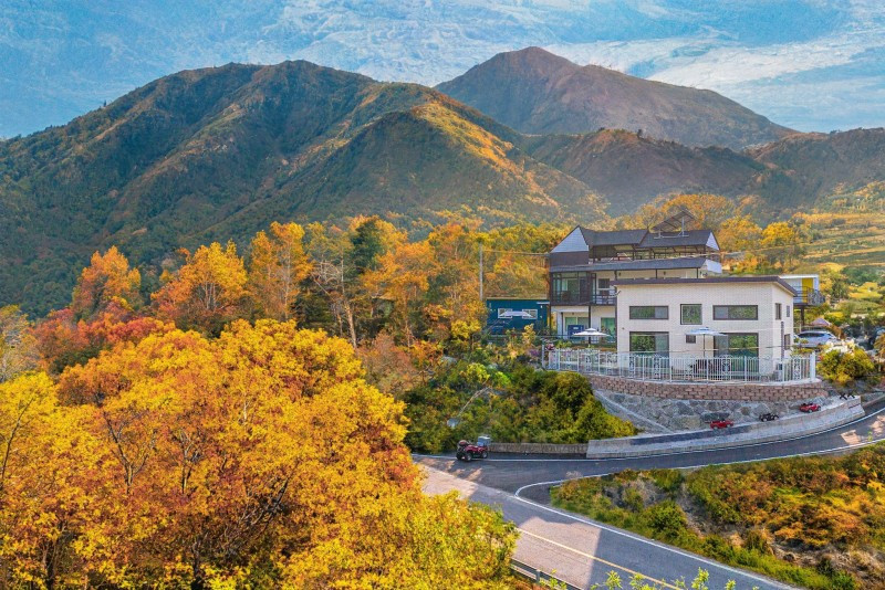 들꽃정원펜션 이미지