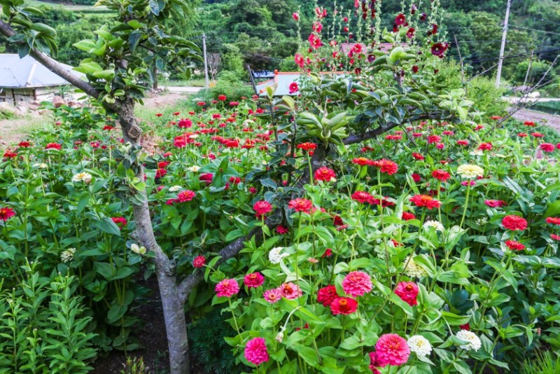 한드미하우쓰 이미지