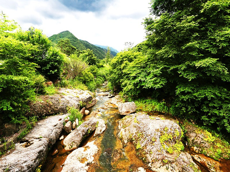 한드미하우쓰 이미지