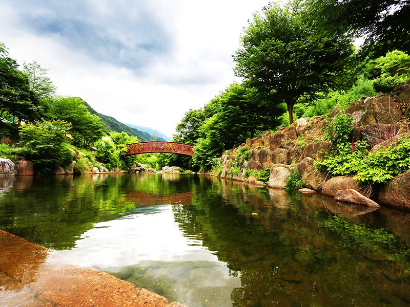 한드미하우쓰 이미지