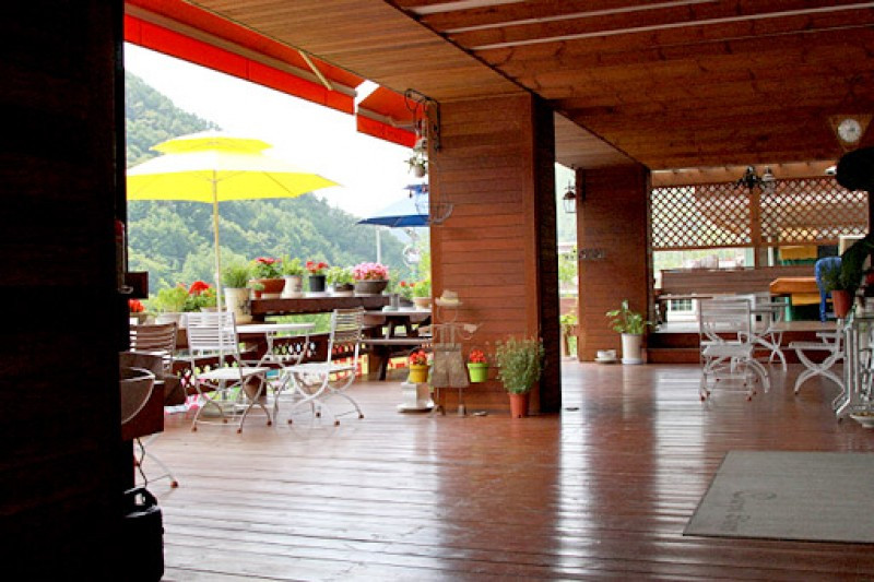 카르페디엠 이미지