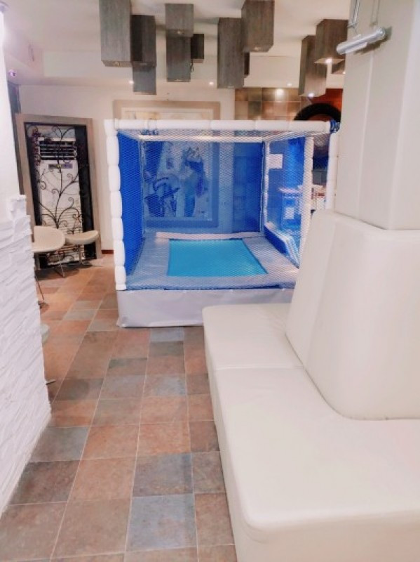 카르페디엠 이미지