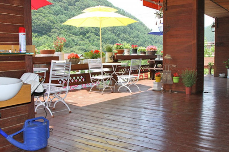 카르페디엠 이미지