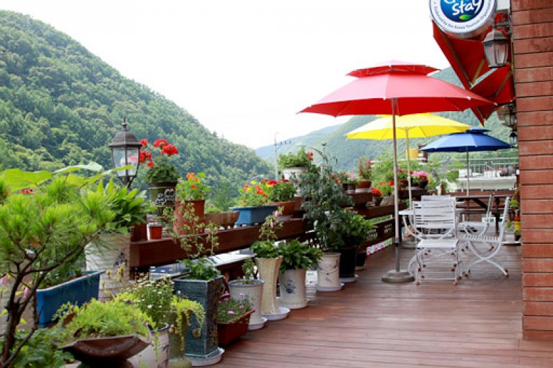 카르페디엠 이미지