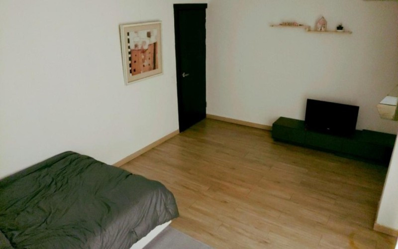 카르페디엠 이미지