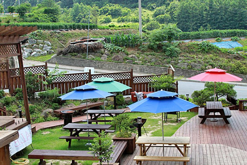 카르페디엠 이미지