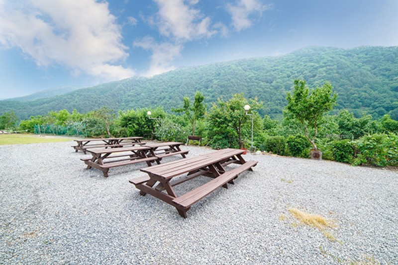 강가의아침펜션 이미지