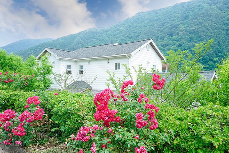강가의아침펜션 이미지