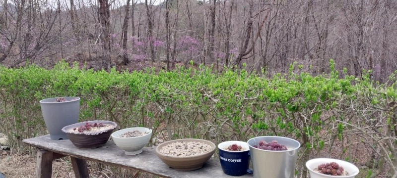 하룻밤 궁궐터 이미지