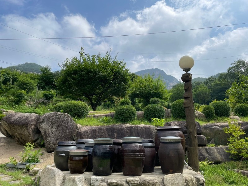 하룻밤 궁궐터 이미지