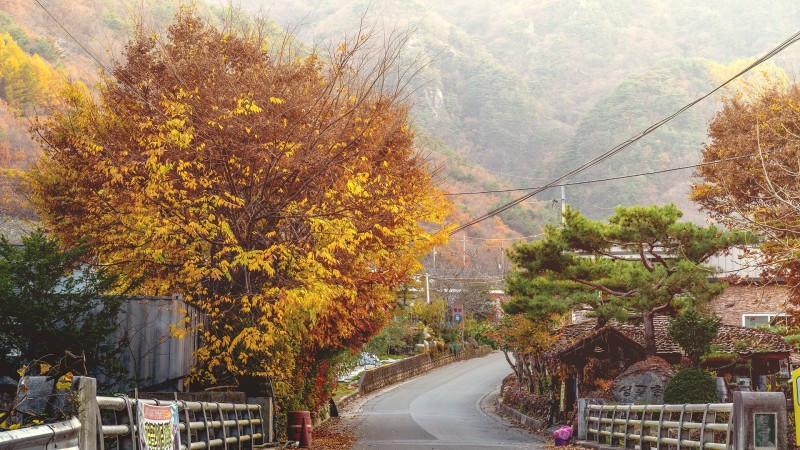 사나래펜션 이미지