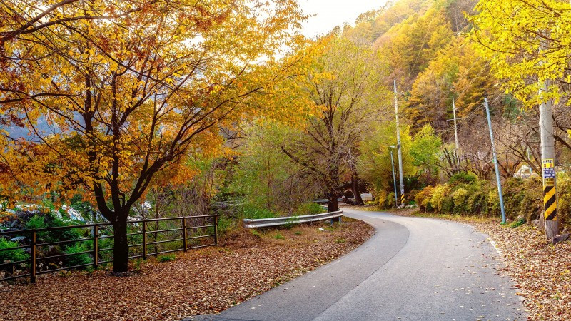 사나래펜션 이미지