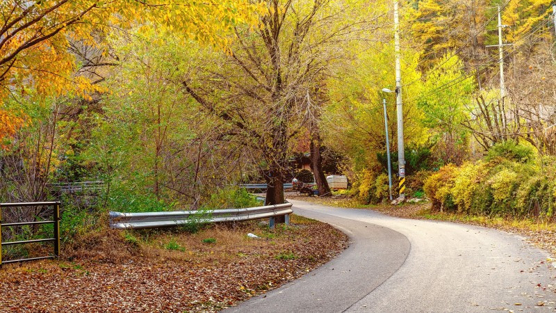 사나래펜션 이미지