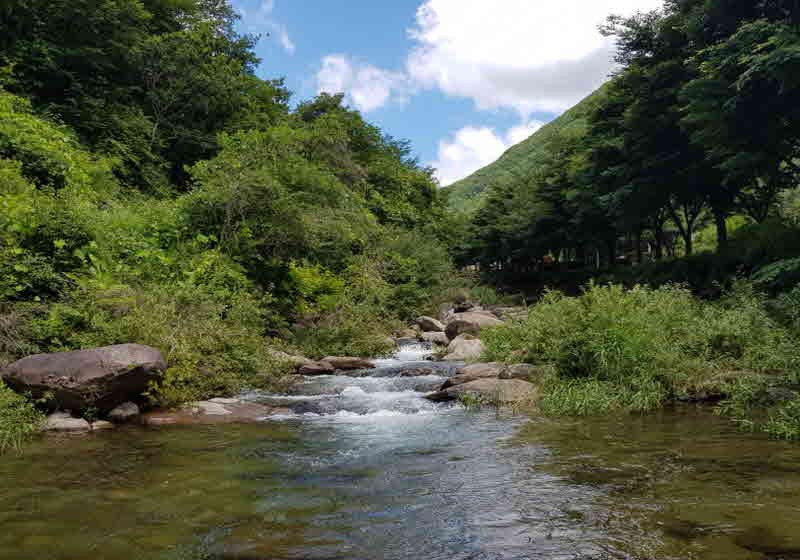 단양 봄펜션 이미지