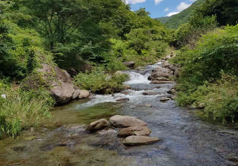 단양 봄펜션 이미지