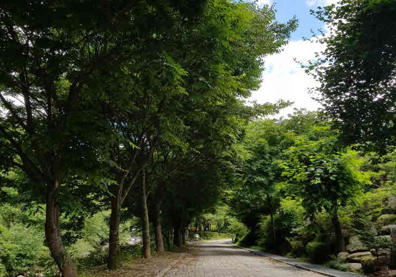 단양 봄펜션 이미지