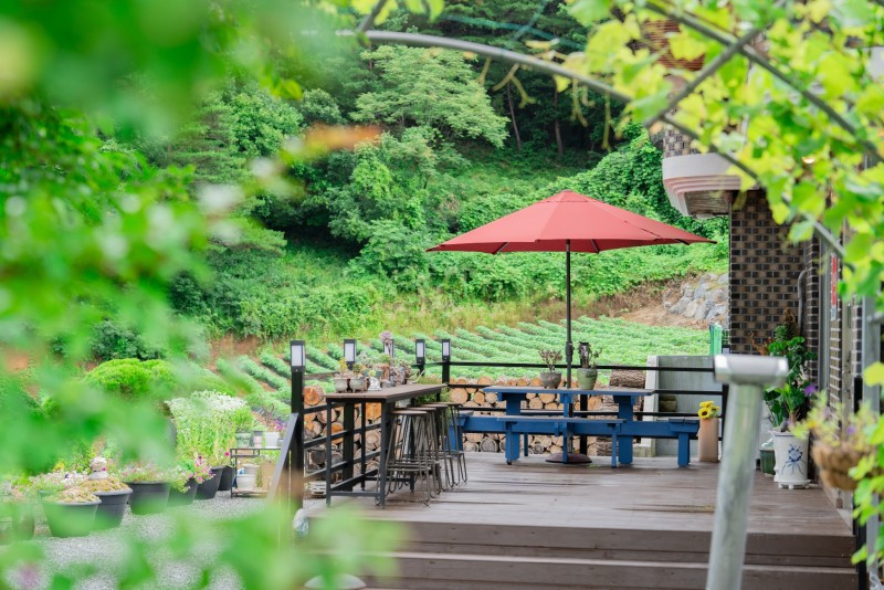 단양화담스테이 이미지