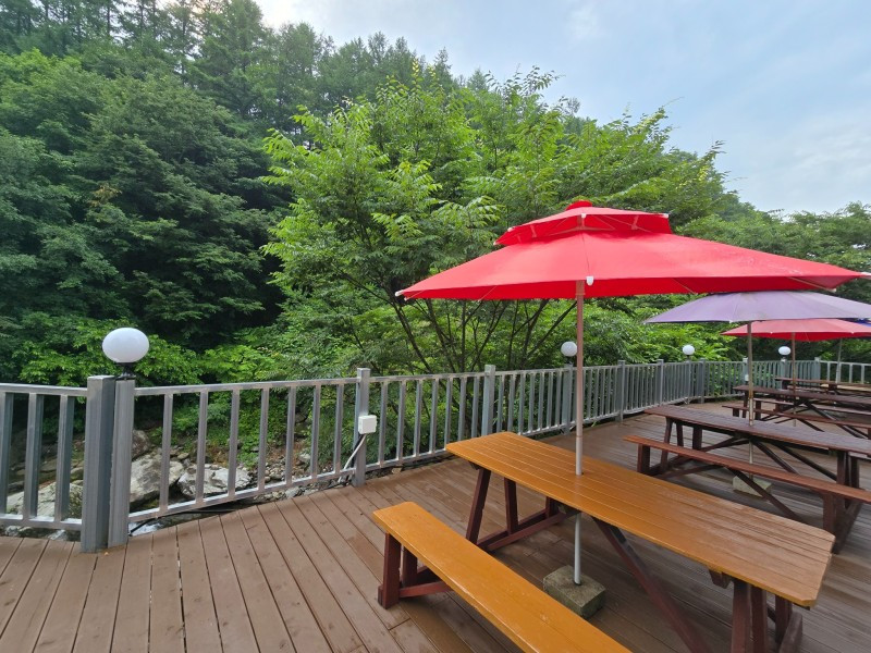 단양느티나무펜션 이미지