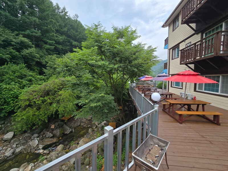 단양느티나무펜션 이미지