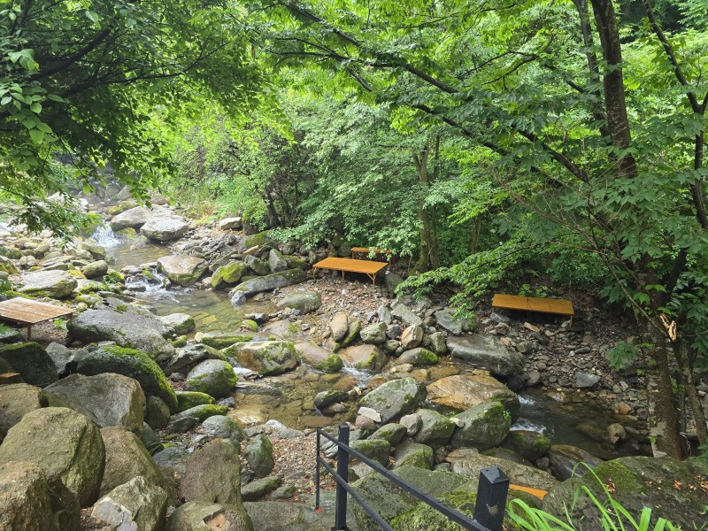 단양느티나무펜션 이미지