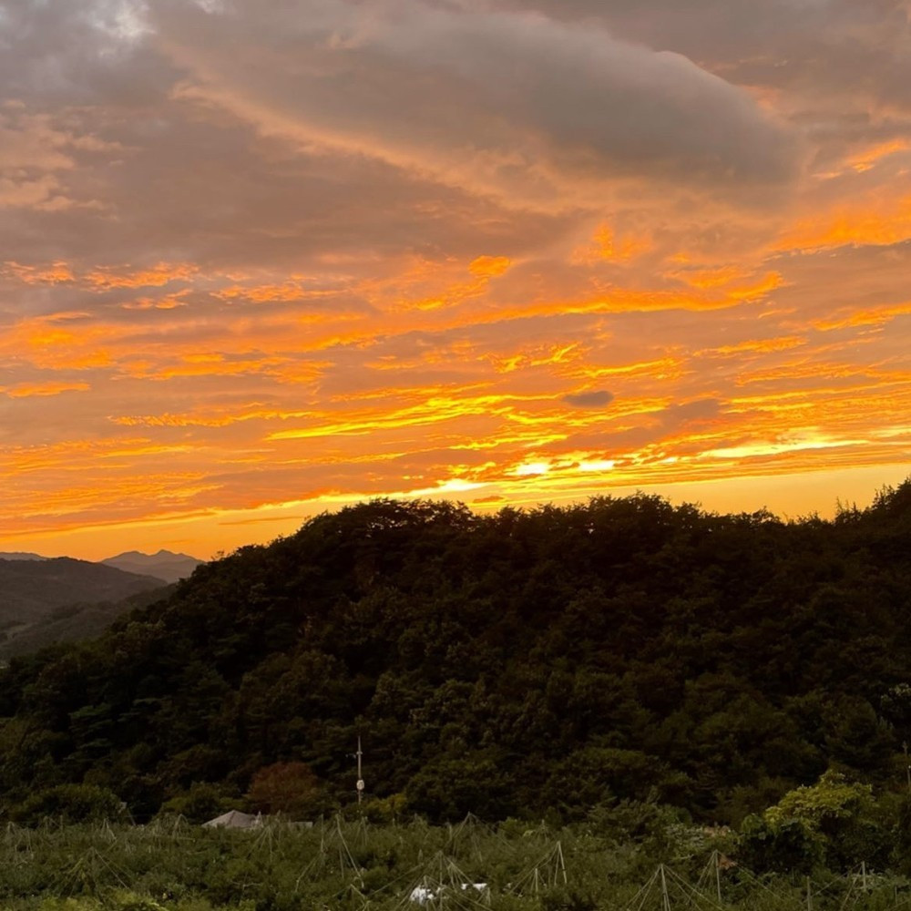 늘솔길펜션 이미지