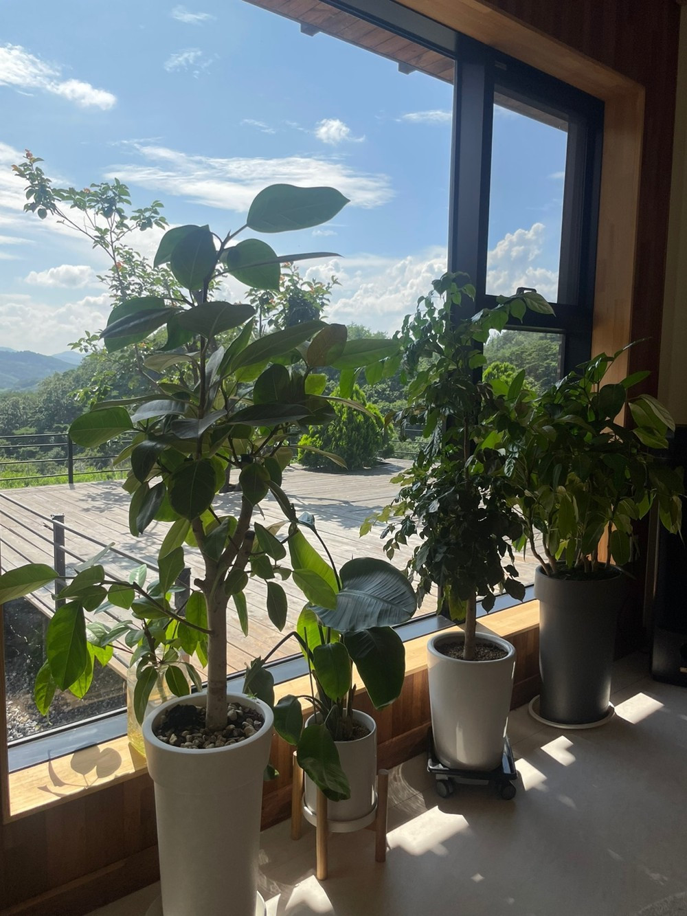 늘솔길펜션 이미지