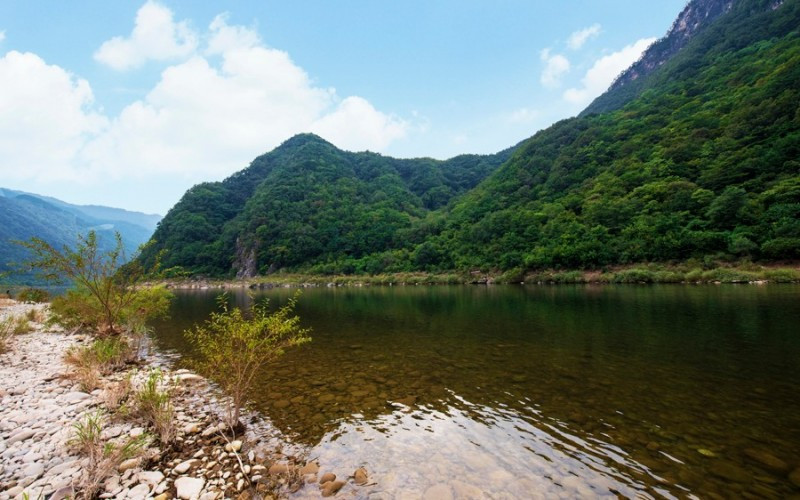 파인카라반캠핑장 이미지