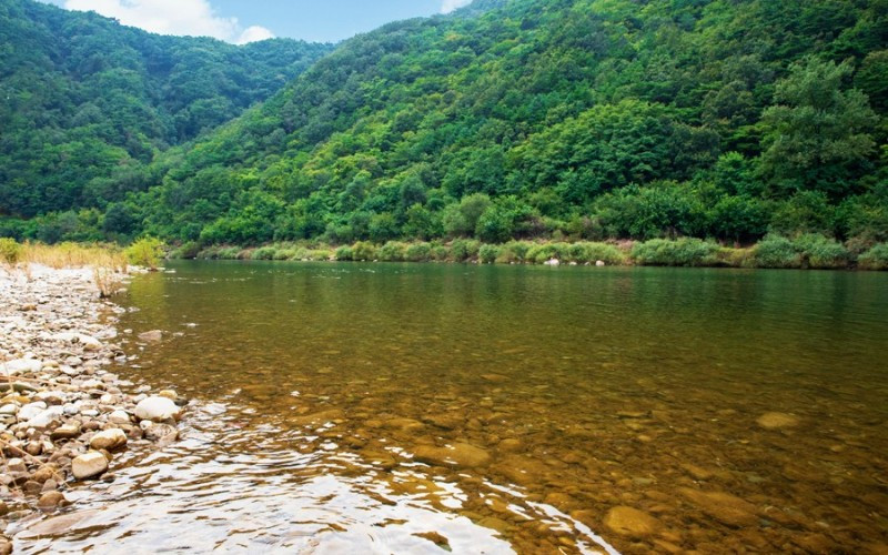 파인카라반캠핑장 이미지