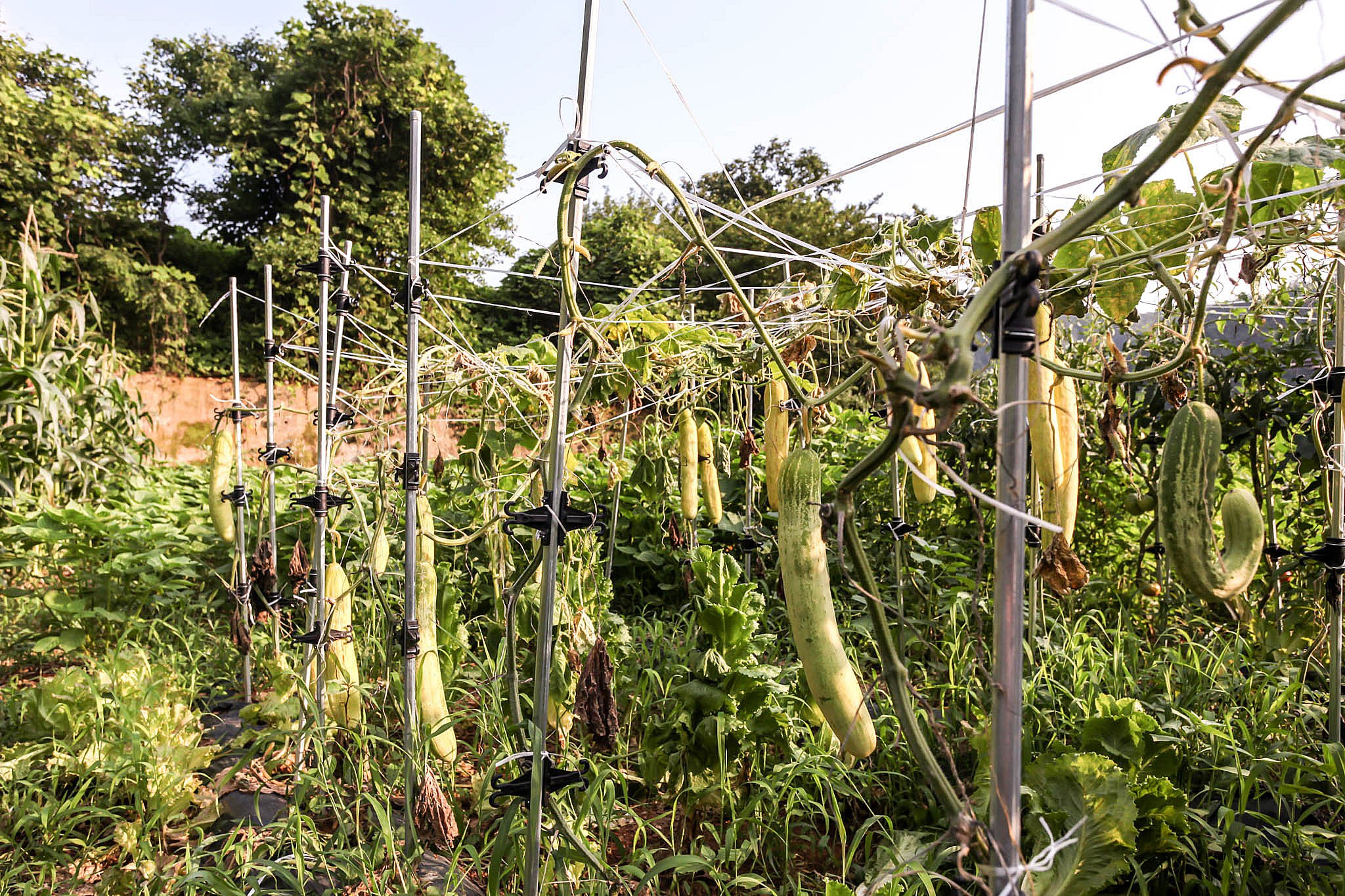 리버파크모텔 이미지