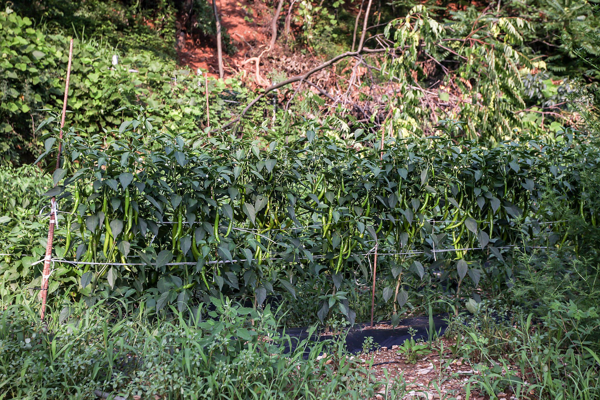 리버파크모텔 이미지