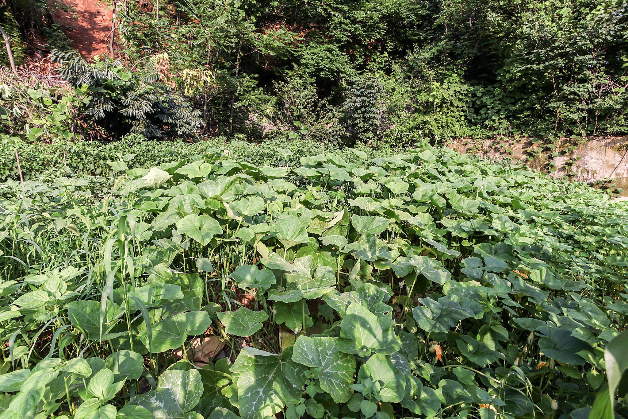 리버파크모텔 이미지