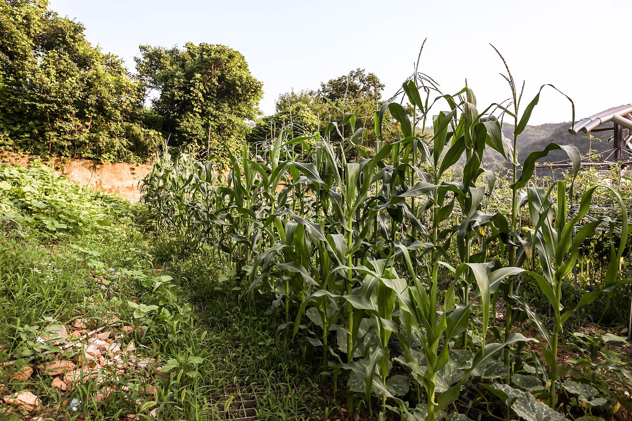 리버파크모텔 이미지