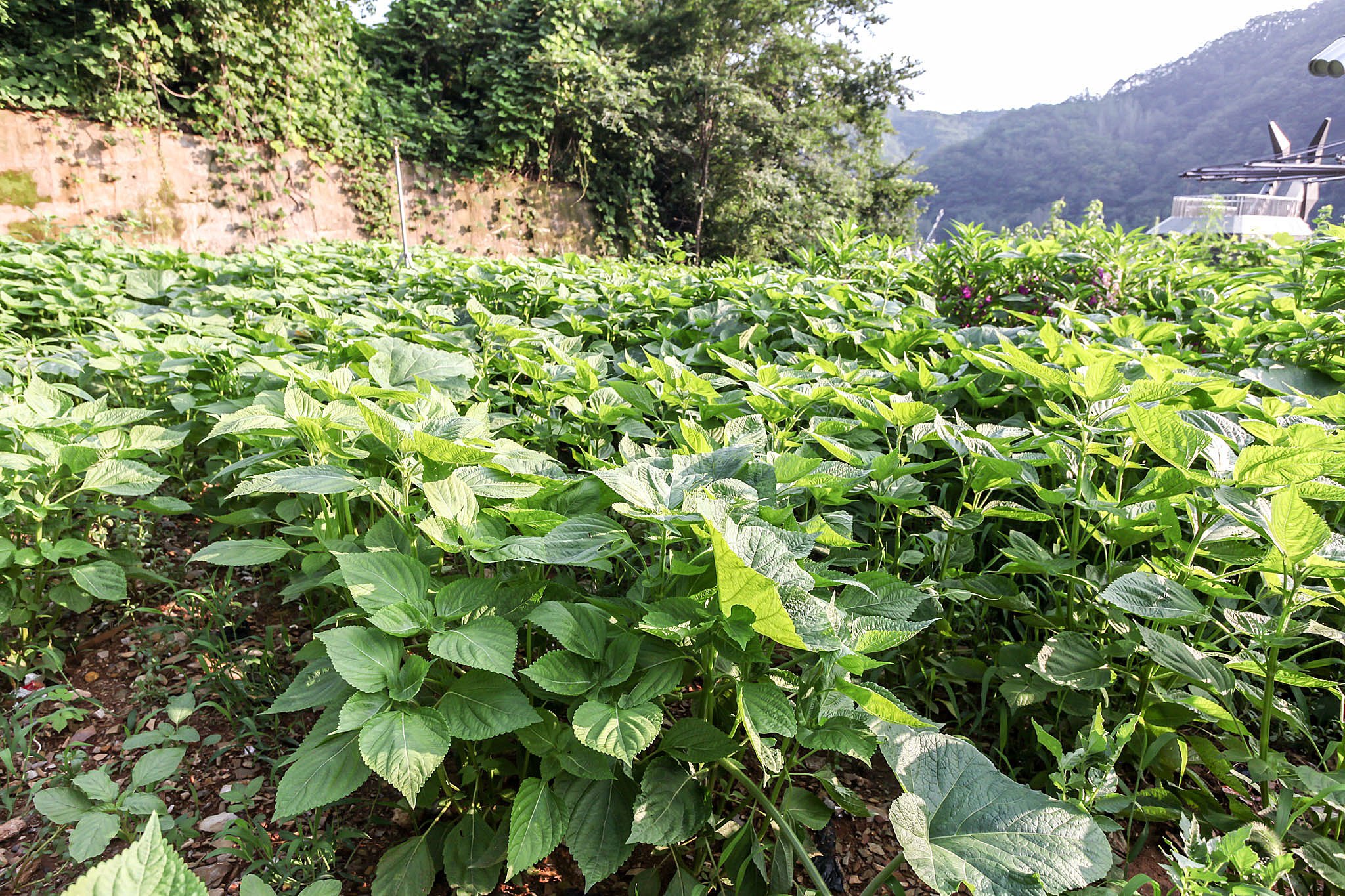 리버파크모텔 이미지