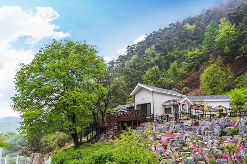 단양 풀꽃나무펜션 이미지