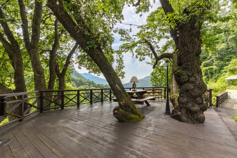 단양 풀꽃나무펜션 이미지