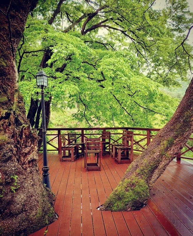 단양 풀꽃나무펜션 이미지