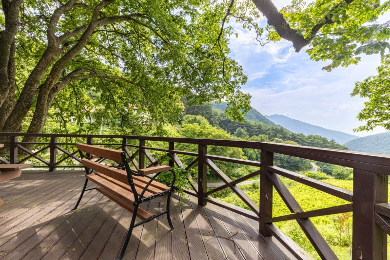 단양 풀꽃나무펜션 이미지