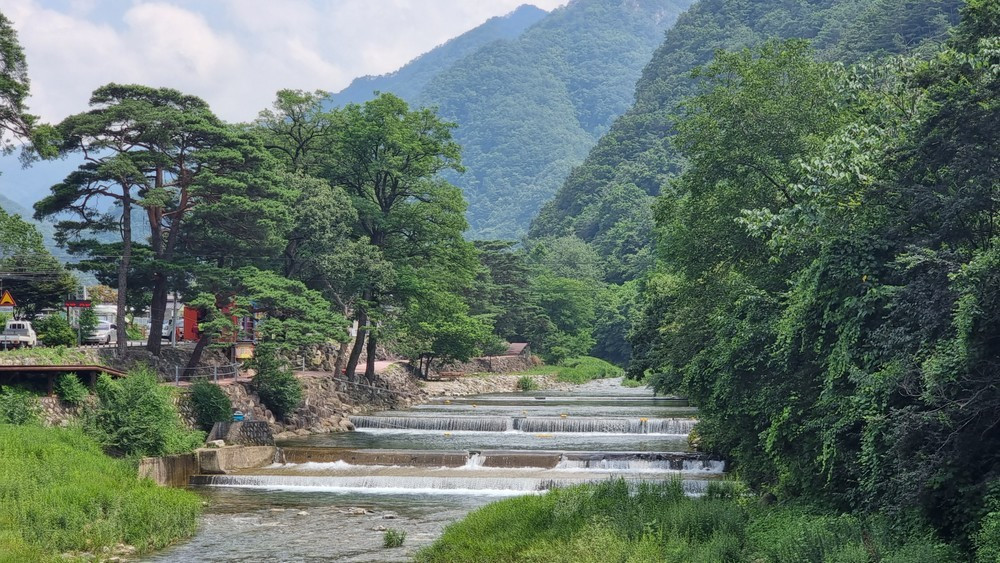 꽃들의물감찾기펜션 이미지