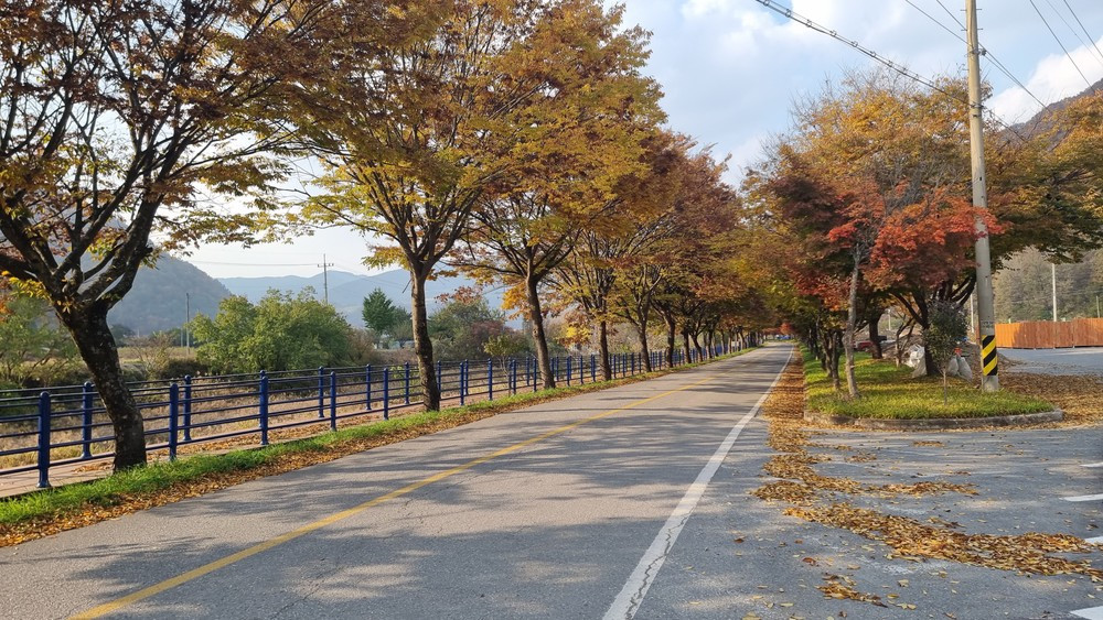 꽃들의물감찾기펜션 이미지