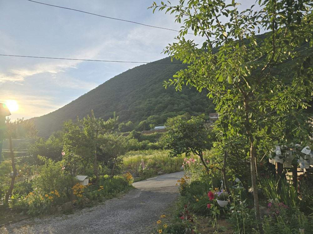 홍봉화펜션 이미지